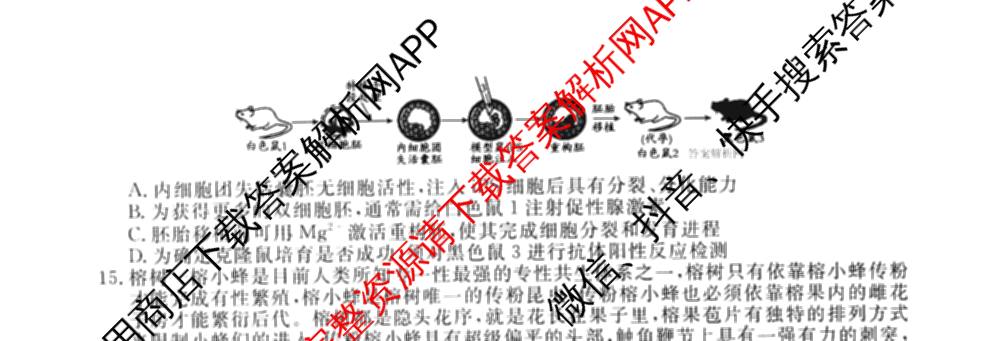 2026届高三总复名师原创模拟(四)4各科答案及试卷（39科全）生物试题