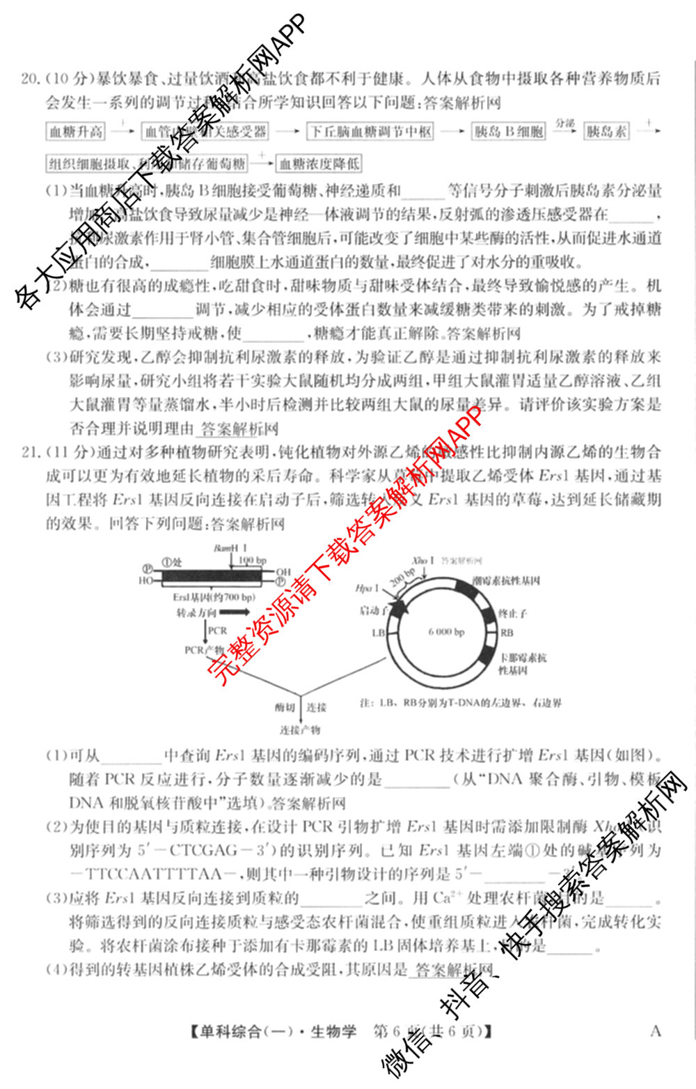 2026年高考单科综合模拟信息卷(一)1（含语文、物理(A)、数学等）生物试题