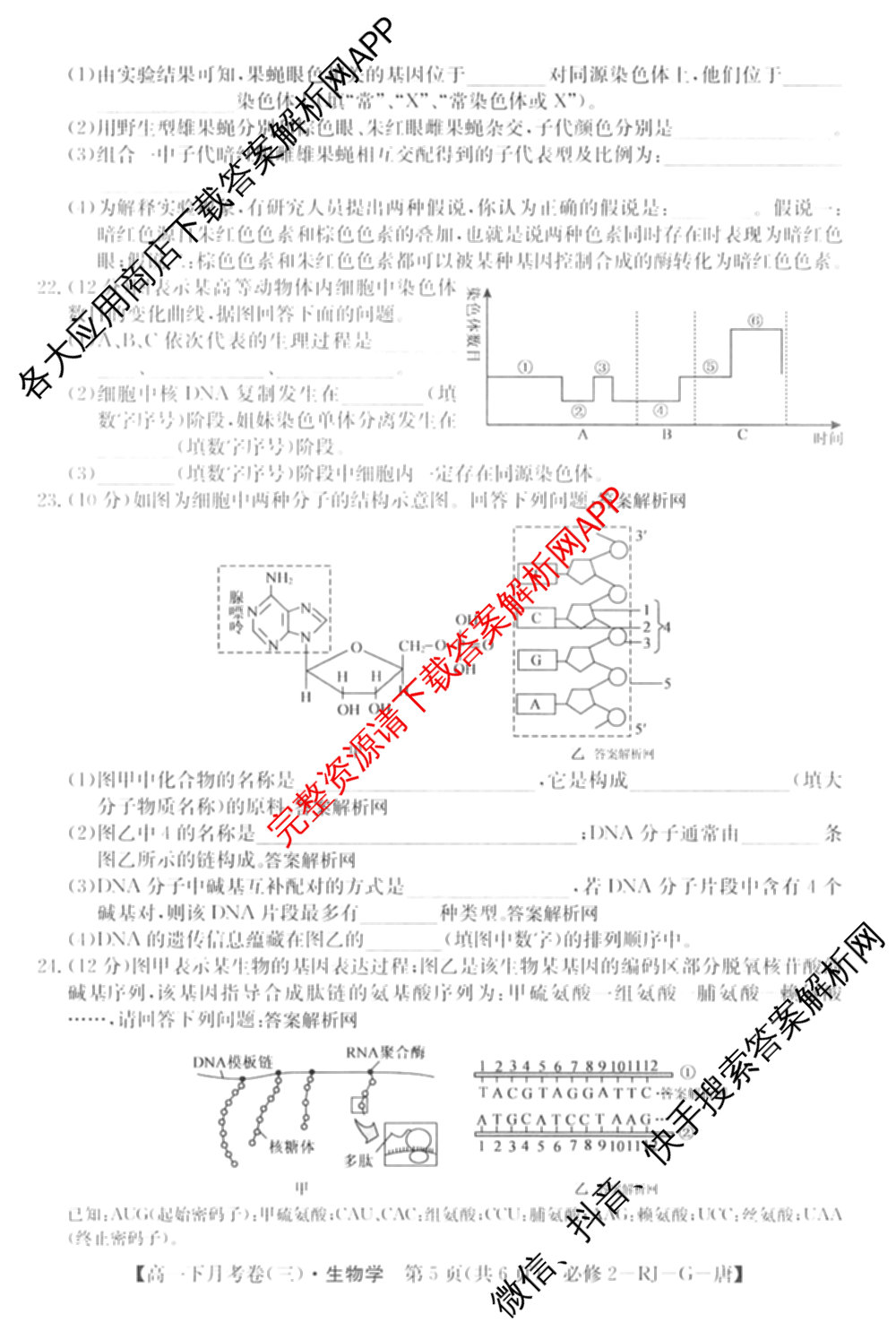 2025~2026全国名校高一下学期第三次月考试卷试卷及答案汇总（含生物学(必修2-RJ-G-唐) 地理(必修第二册-LJ-G-唐) 数学(必修第二册-RJA-X-F-H-唐)等10份）生物试题