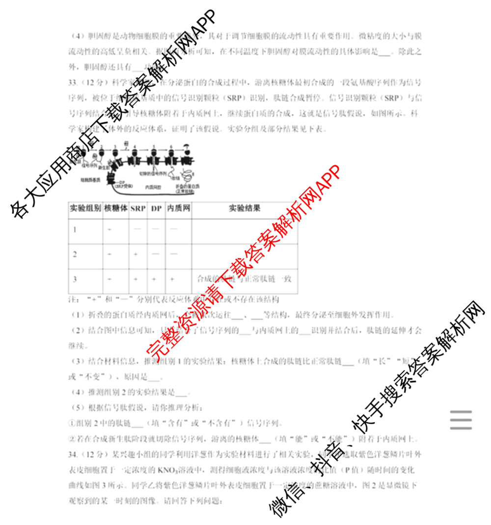 重庆一中高2028届高一上期期中考试（含地理、数学、语文等9份）生物试题