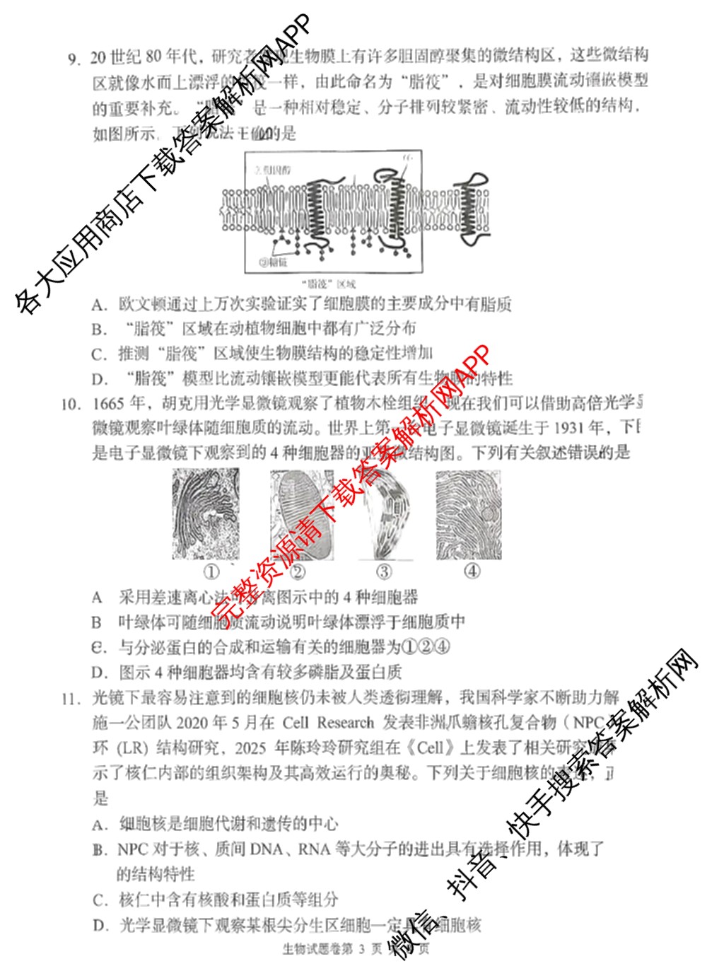 A佳教育G10/H11/三新教育联盟2025 年秋季高一期中联考（含英语 化学 政治等）生物试题