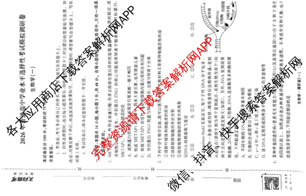 天舟高考衡中同卷2026年普通高等学校招生全国统一考试模拟调研卷(一)1（含化学(JY)、化学(山东版)、语文(A)等）生物试题