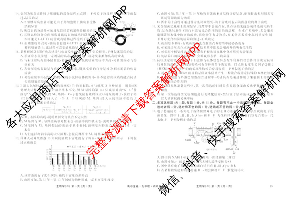 衡水金卷先享题调研卷2026年普通高等学校招生全国统一考试模拟试题(二)2试卷及答案汇总（91科全）生物试题