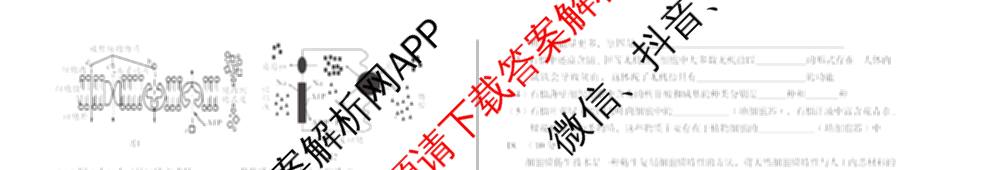 A10联盟&宿州十三校2025级高一上学期11月期中质量检测试卷及答案汇总（19科全）生物试题