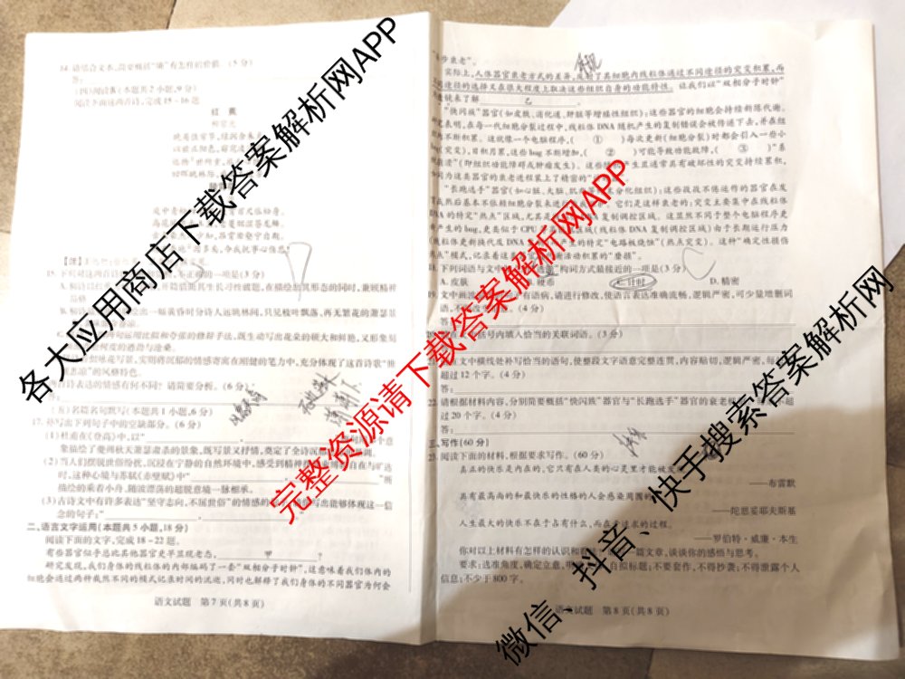 天一大联考2025-2026学年(上)湘一名校联盟高三检测(三)试卷及答案汇总(含历史 政治 语文等)语文试题 天一大联考2025-2026学年(上)湘一名校联盟高三检测(三)试卷及答案汇总(含历史 政治 语文等)语文试题