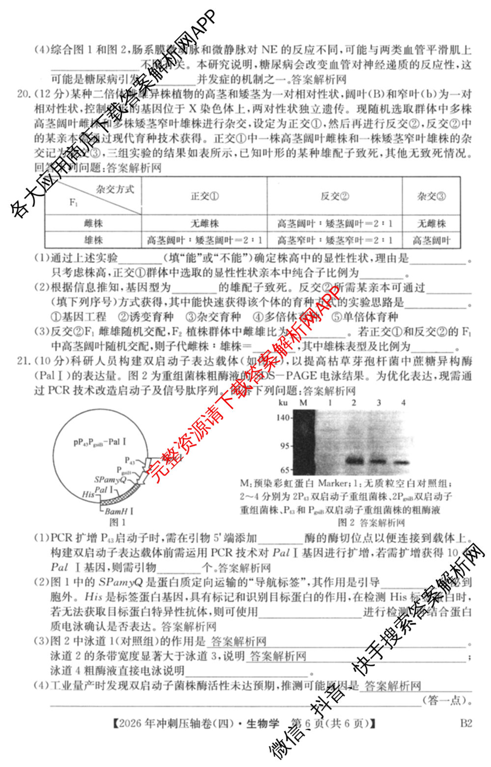 2026年全国高考冲刺压轴卷(四)4试卷及答案汇总（含物理(江西) 政治(广西) 历史(湖南)等）生物试题