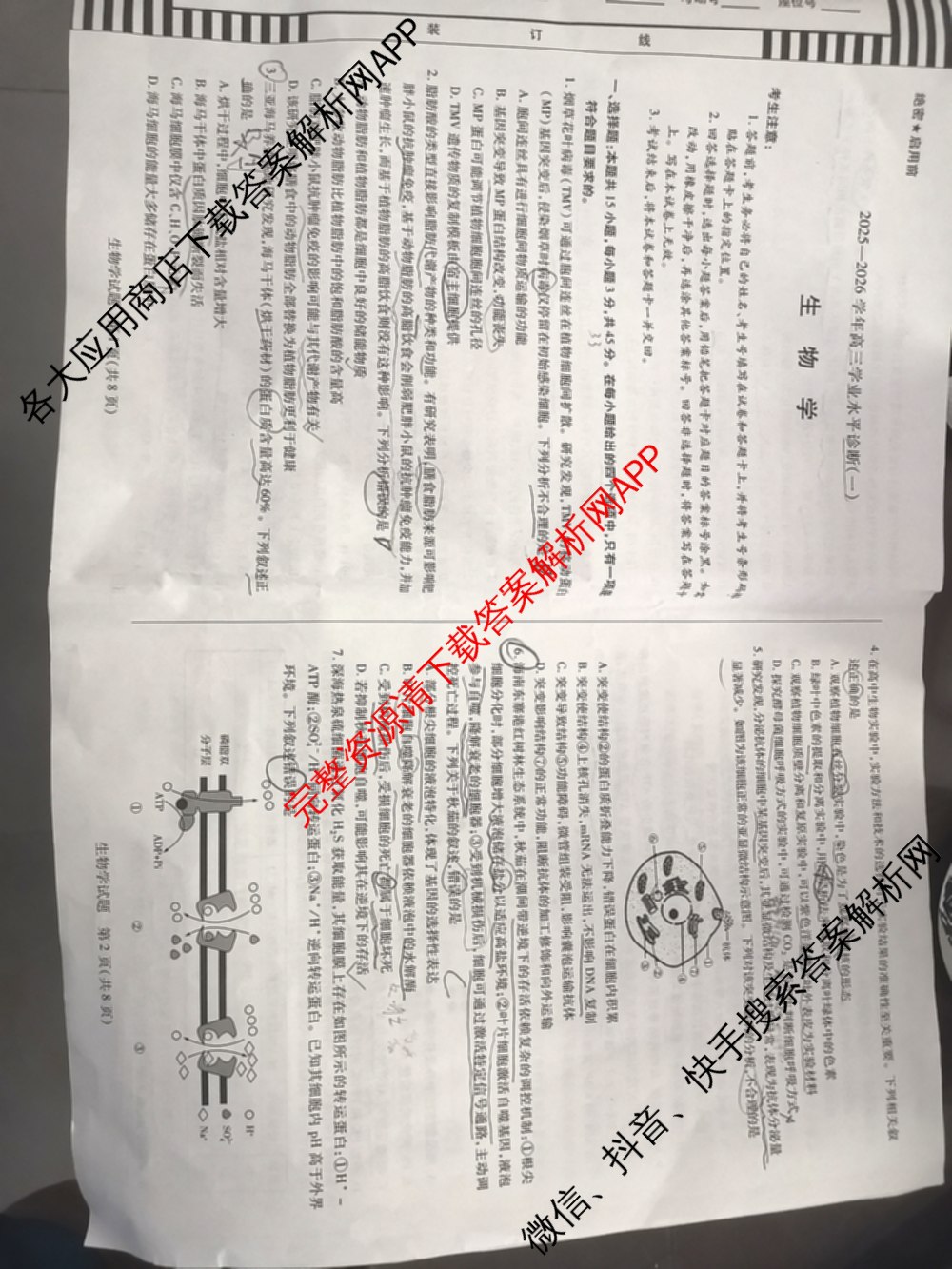 天一大联考海南省2025-2026学年高三年级学业水诊断(一)(已更新政治、语文、地理等9份)生物试题