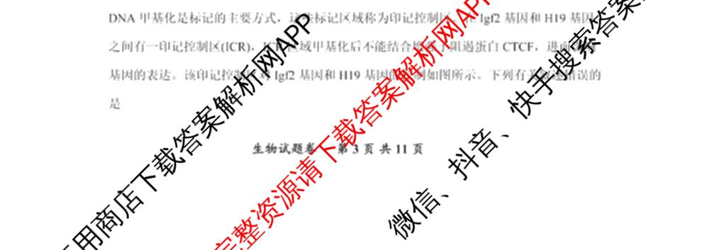 重庆市高2026届高三上学期十二月联合诊断考试各科答案及试卷（9科全）生物试题