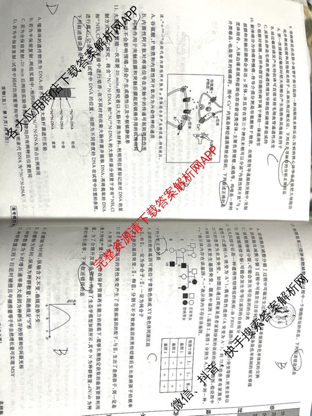 衡水名师卷高考模拟调研卷 2026年普通高等学校招生全国统一考试模拟试题(五)5（29科全）生物试题