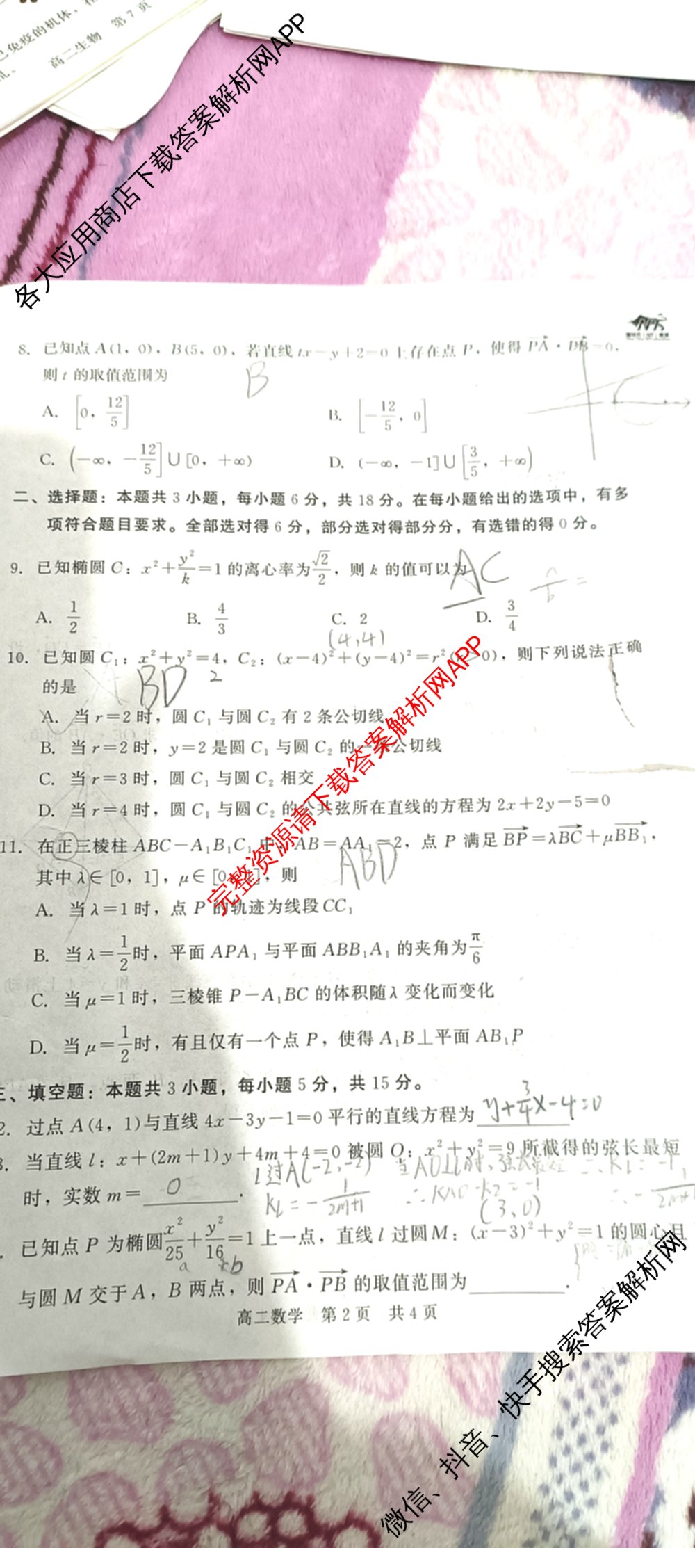 NT河北省2025-2026学年第一学期高二年级11月期中考试(一)各科答案及试卷（含政治 生物 物理等10份）数学试题