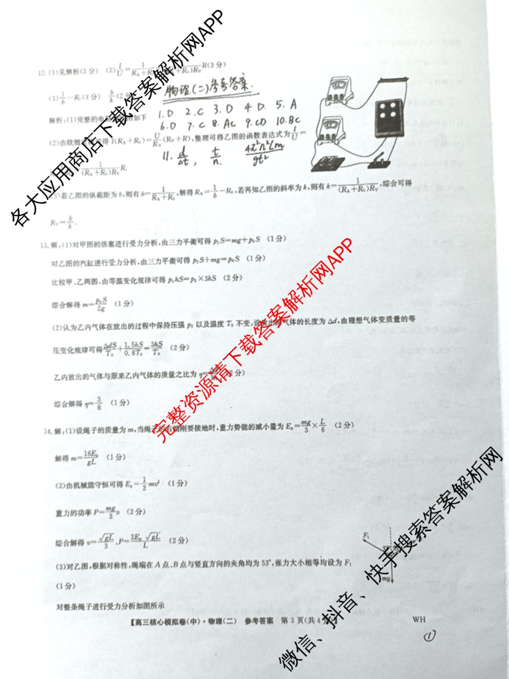 九师联盟2024~2025学年高三核心模拟卷(中)(二)2各科答案及试卷: 含政治(JX) 生物(D1) 生物(HB)试卷解析物理答案