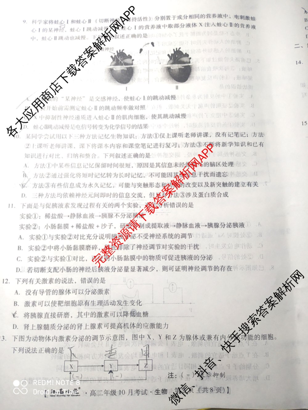 琢名小渔2025-2026学年高二年级10月考试各科答案及试卷（含语文 地理(A) 政治等15份）生物试题