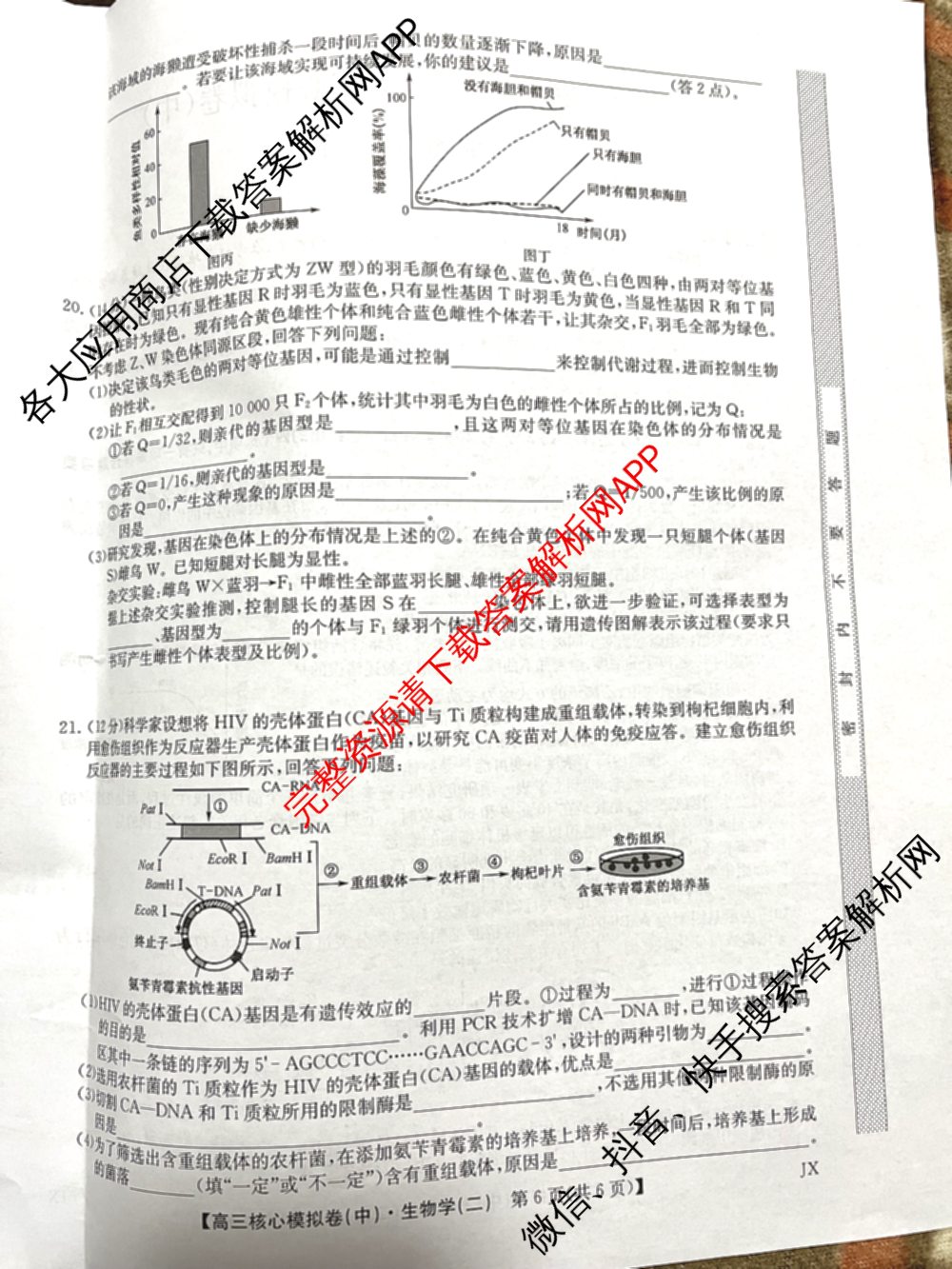 九师联盟2024~2025学年高三核心模拟卷(中)(二)2各科答案及试卷: 含政治(JX) 生物(D1) 生物(HB)试卷解析生物试题