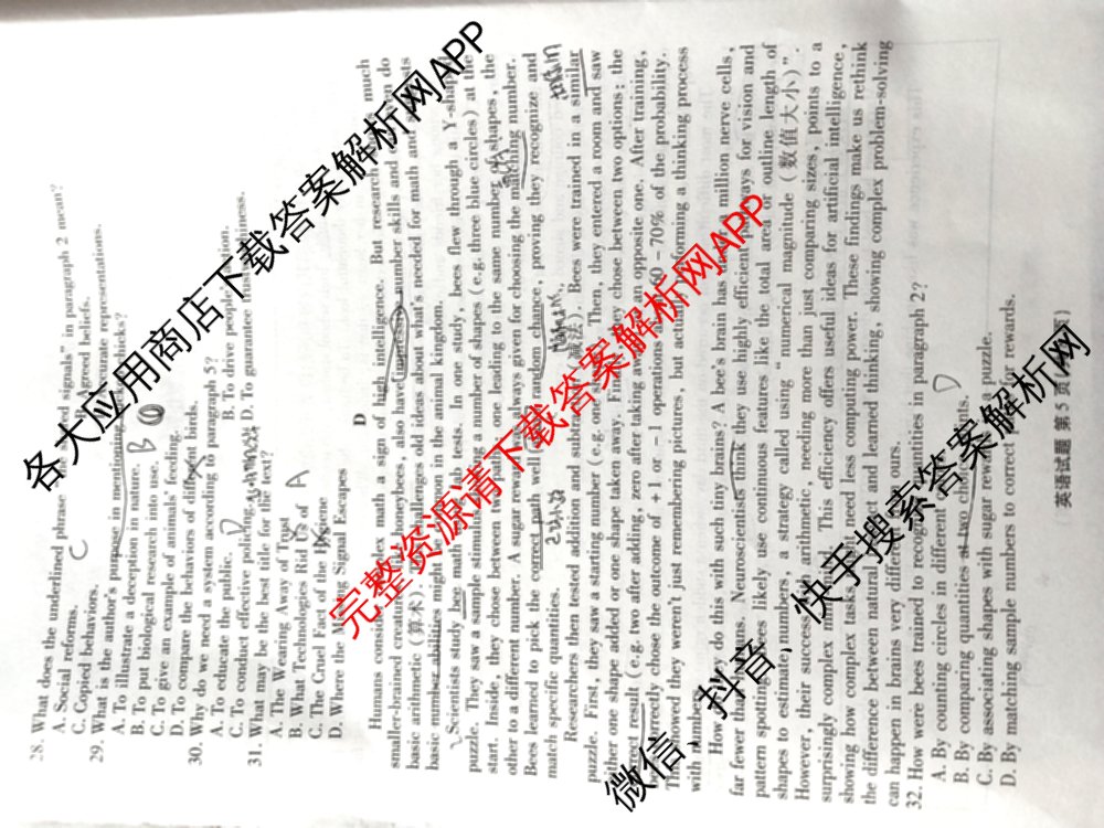 衡水金卷2026届高三年级9月份联考(9.3)各科答案及试卷: 含政治 数学 英语试卷解析英语试题