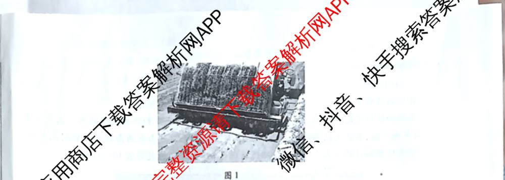 天一大联考湖南省2026届高三8月考试(无标题): 含数学、政治、语文试卷解析地理试题