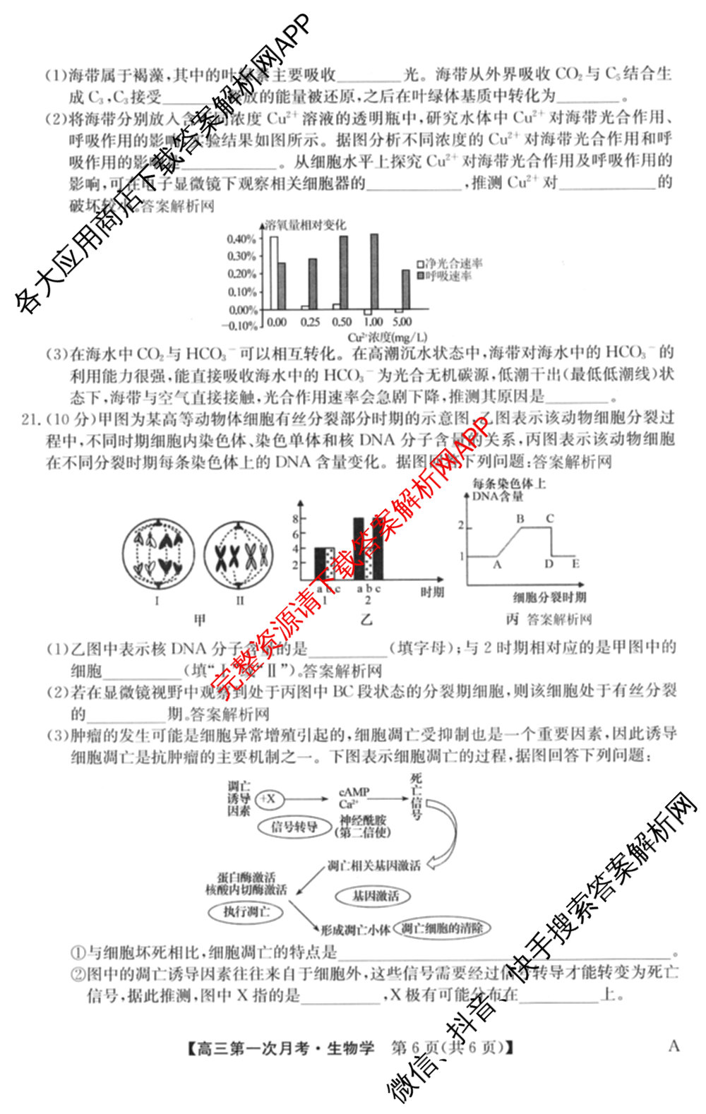 全国名校2026届高三月考滚动卷(一)1各科答案及试卷（含化学(A)、物理(A)、英语等）生物试题