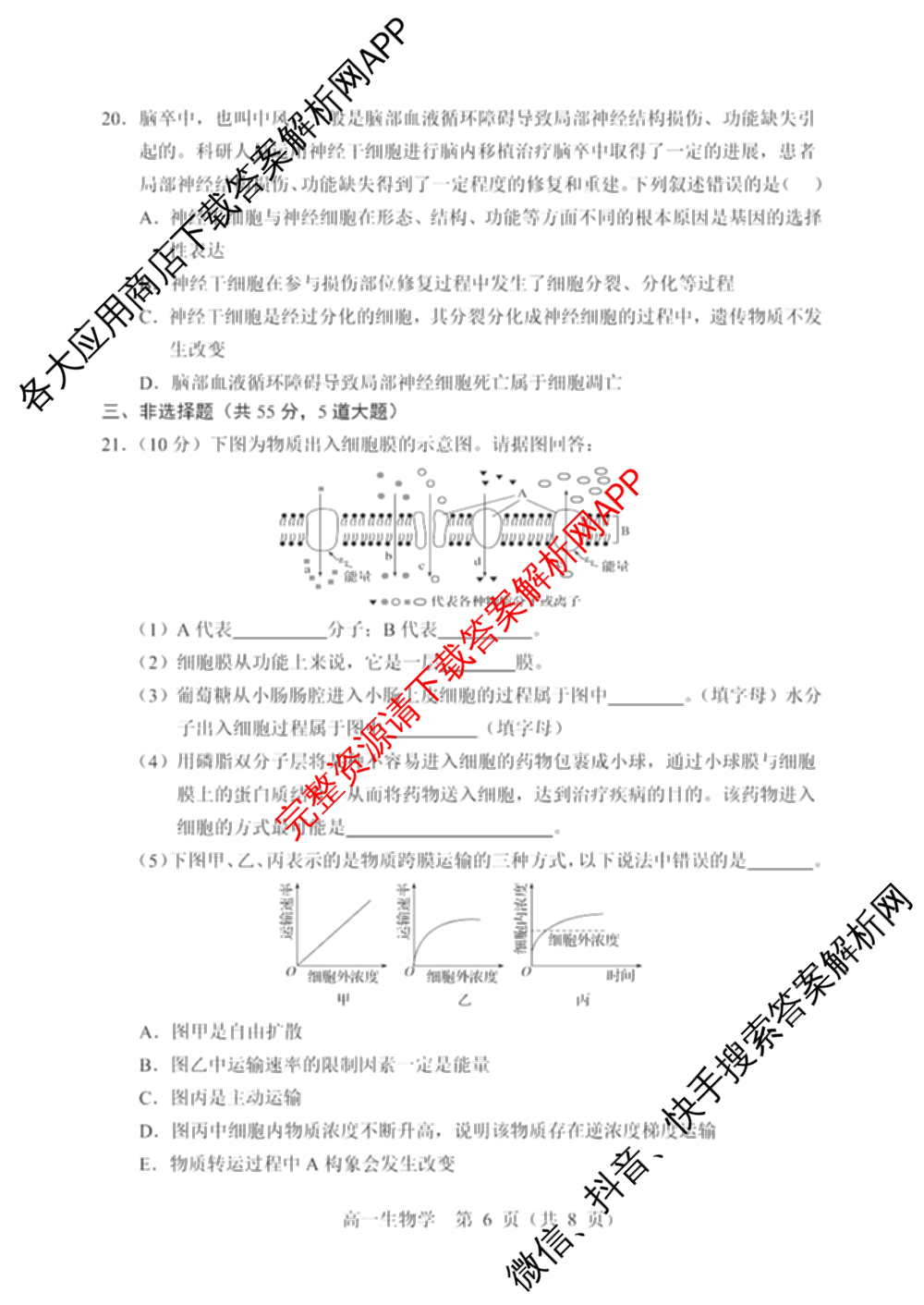 辽宁省重点高中沈阳市郊联体2024-2025学年度上学期高一年级期末考试各科答案及试卷: 含历史、地理、生物试卷解析生物试题