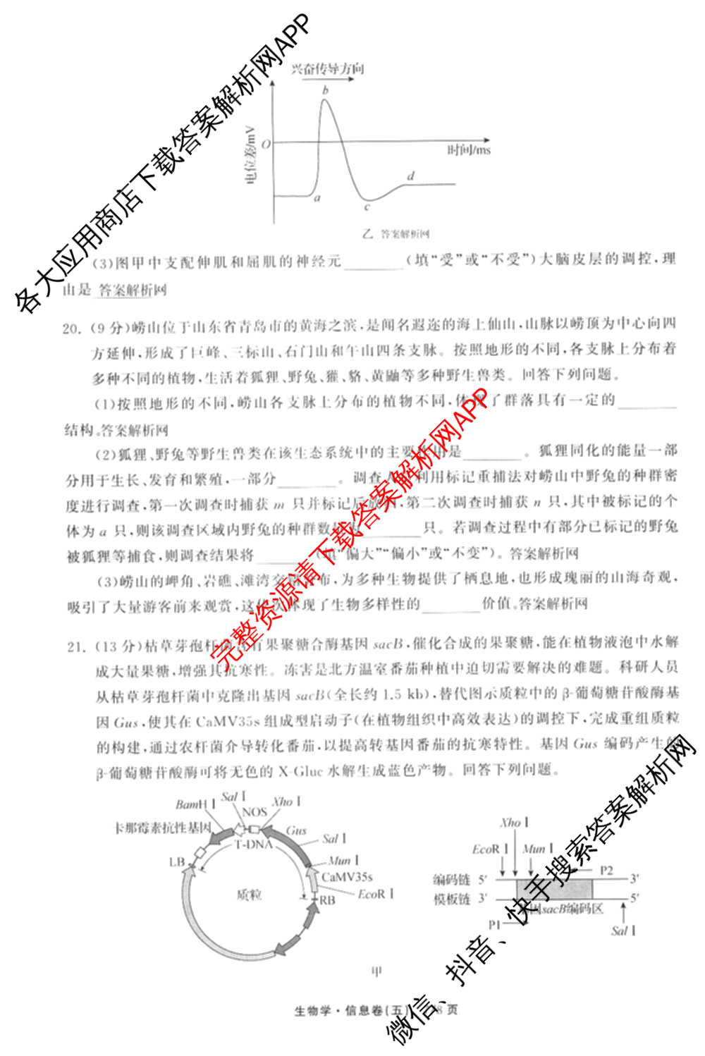 天舟高考衡中同卷2026年普通高等学校招生全国统一考试模拟信息卷(五)5（含化学(JY) 历史(GY) 物理(山东版)等35份）生物试题