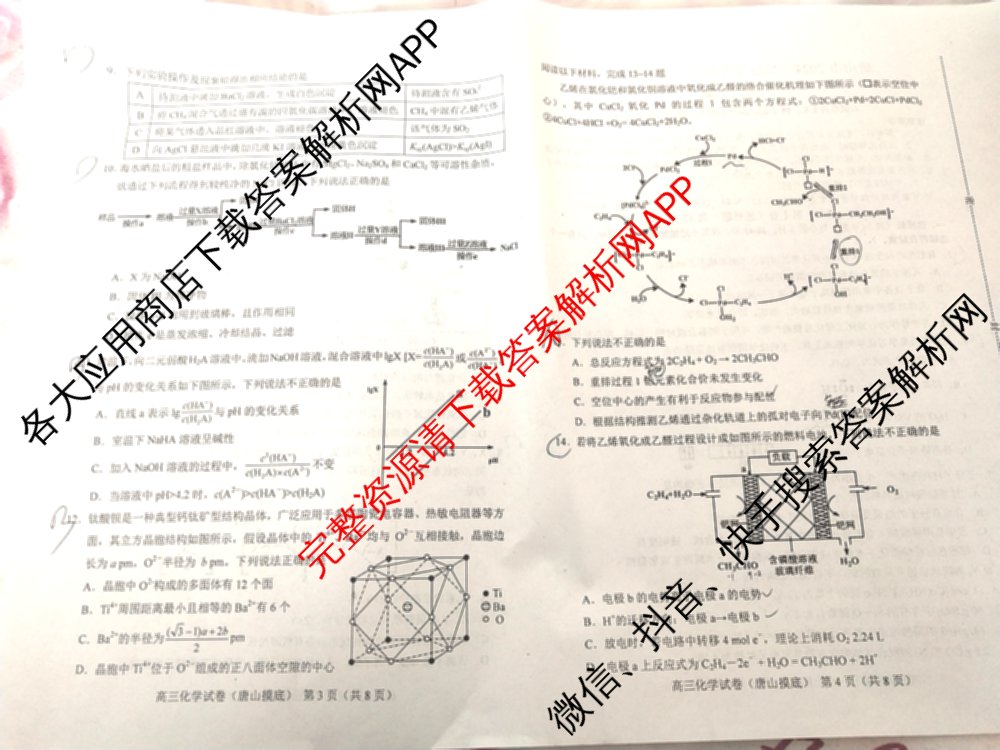 唐山市2024-2025学年度高三年级摸底演练(9月)各科答案及试卷（9科全）化学试题
