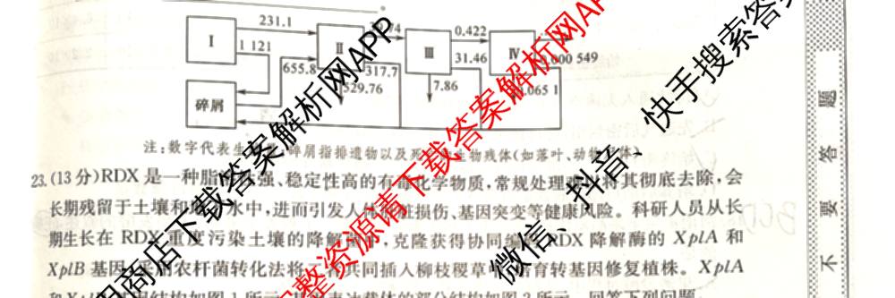 2026年普通高等学校招生全国统一考试猜题信息卷(一)1试卷及答案汇总(已更新物理(AH)、地理(B3)、化学(B3)等19份)生物试题