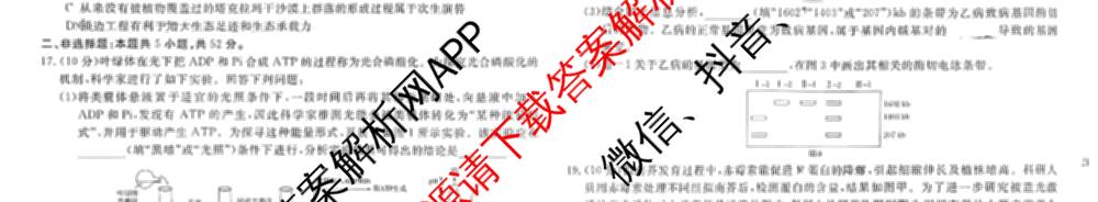 2026普通高等学校招生全国统一考试综合模拟卷(一): 含地理、政治(C)、语文(X)试卷解析生物试题
