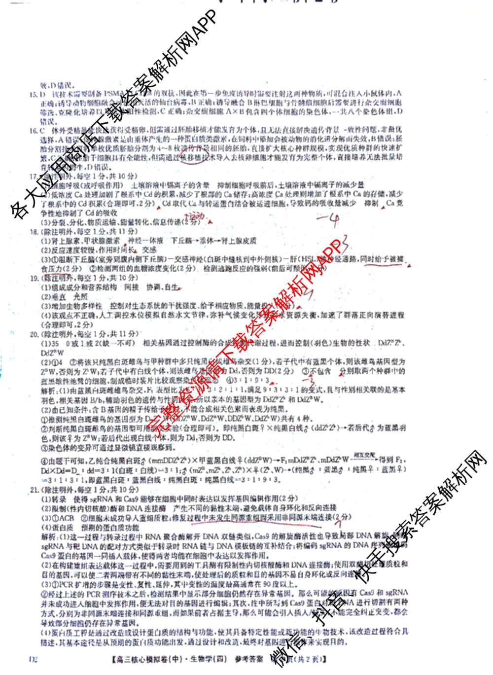 九师联盟2025~2026学年高三核心模拟卷(中)(四)（含政治(D4) 物理(HF) 语文等）生物答案