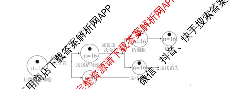 南开大学附属中学2026届上学期第一次阶段检测(已更新政治、数学、地理等9份)生物试题