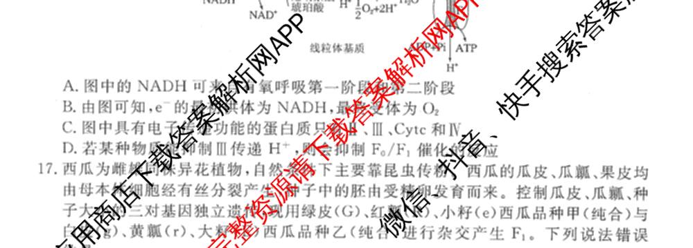 衡水金卷先享题调研卷2026年普通高等学校招生全国统一考试模拟试题(二)2试卷及答案汇总（91科全）生物试题