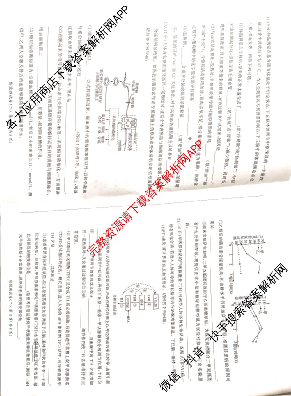 百师联盟2025-2026学年高二上学期阶段测试卷(二)2各科答案及试卷(已更新化学(人教版90分钟·多选)、物理(90分钟多选)、英语等26份)生物试题
