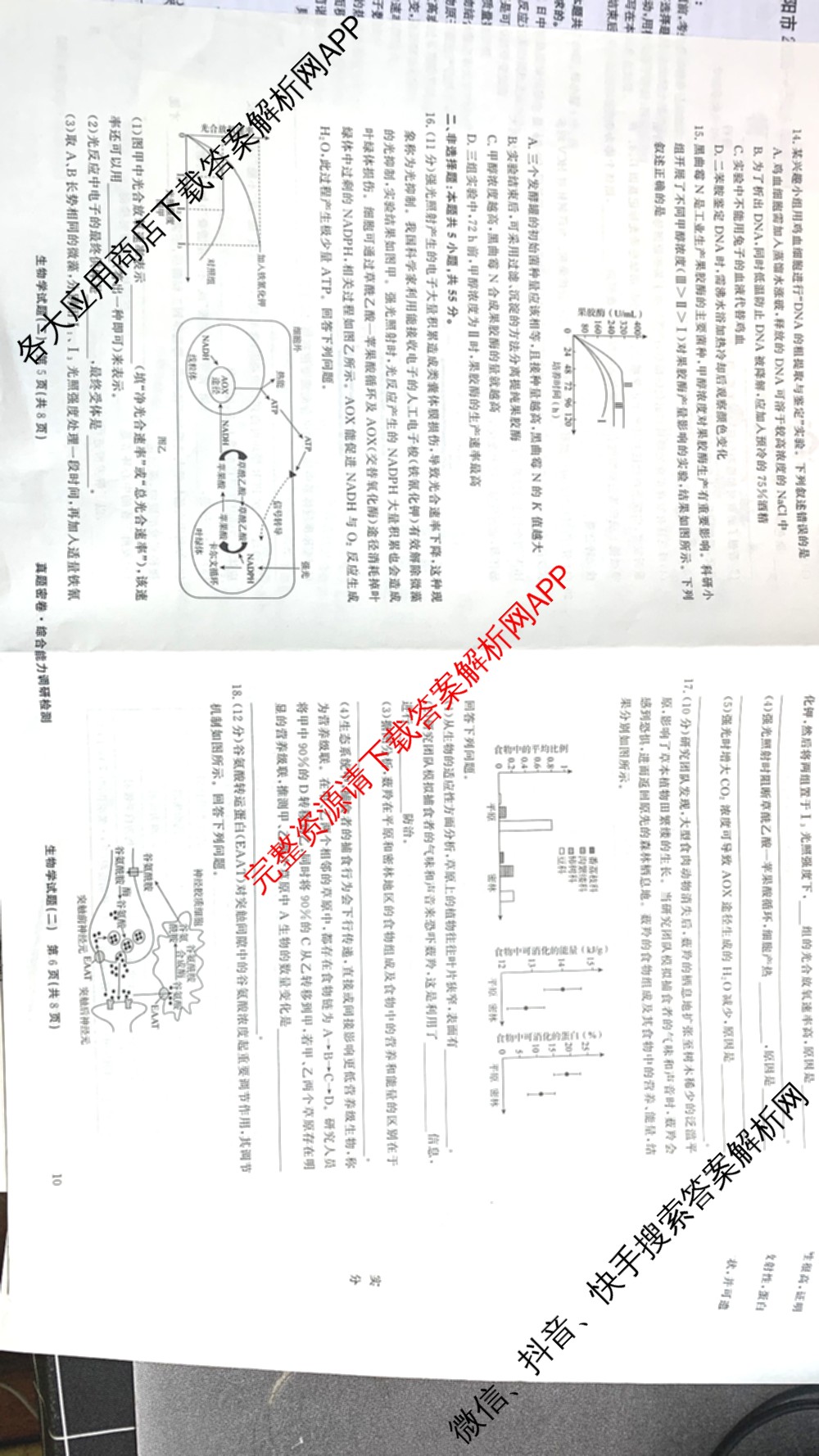 衡水真题密卷2025-2026学年度综合能力调研检测(二)2各科答案及试卷: 含物理(7) 生物(10) 英语(B)试卷解析生物试题