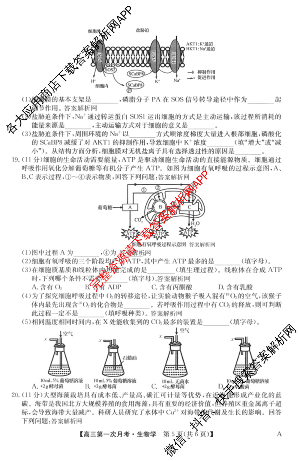 全国名校2026届高三月考滚动卷(一)1各科答案及试卷（含化学(A)、物理(A)、英语等）生物试题