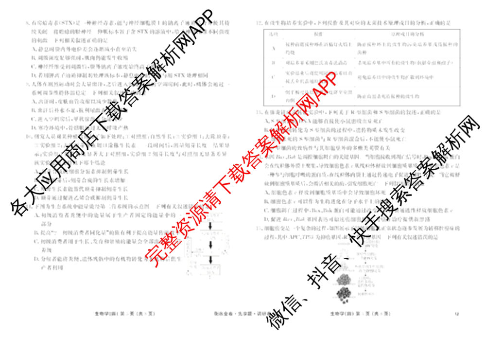 衡水金卷先享题调研卷2026年普通高等学校招生全国统一考试模拟试题(四)4(已更新生物(山东专版) 理综 历史(JS)等91份)生物试题