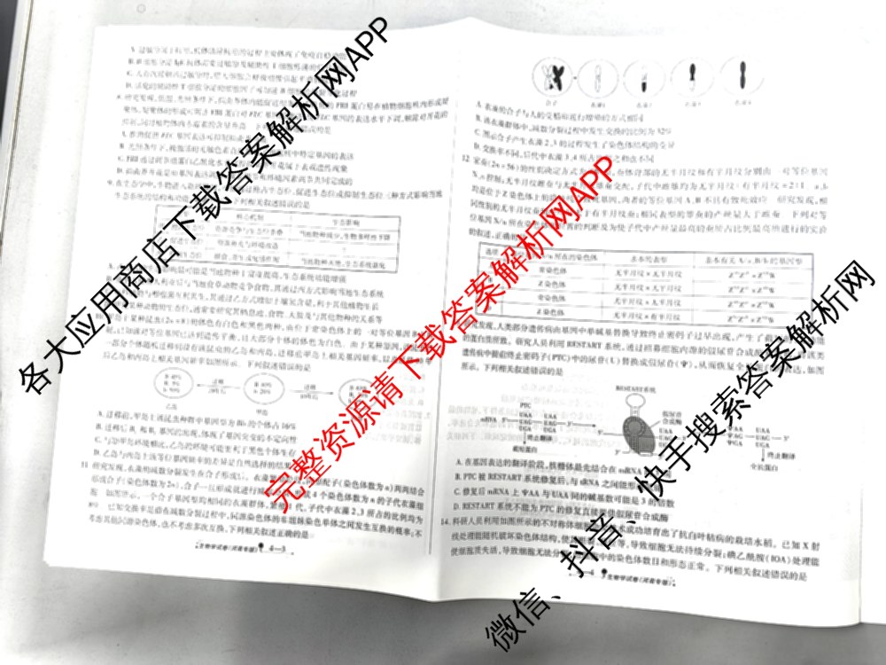 天一大联考2026届高考全真模拟卷(四)4试卷及答案汇总（含化学(甘肃专版)、政治(陕西专版)、物理(安徽专版)等49份）生物试题