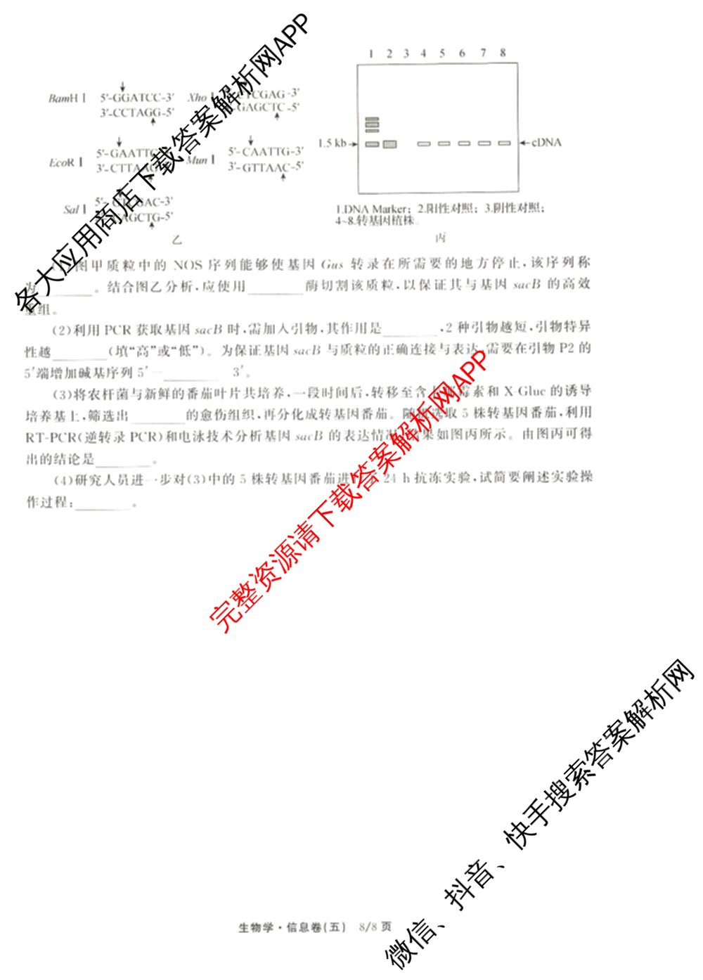 天舟高考衡中同卷2026年普通高等学校招生全国统一考试模拟信息卷(五)5（含化学(JY) 历史(GY) 物理(山东版)等35份）生物试题