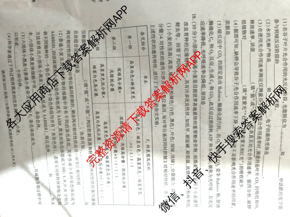 陕西省2025届高三新高考全真模拟考试各科答案及试卷: 含历史 数学 化学试卷解析生物试题