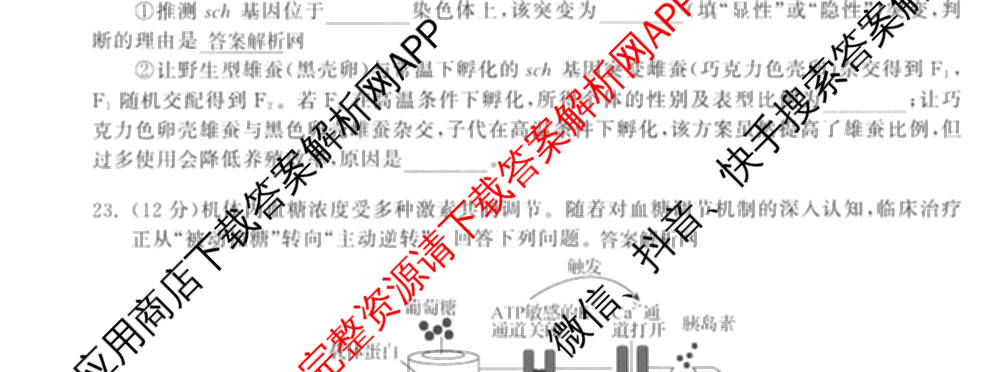 天舟高考衡中同卷2026年普通高等学校招生全国统一考试模拟信息卷(六)6（含化学(山东版)、政治(DB)、物理(山东版)等35份）生物试题
