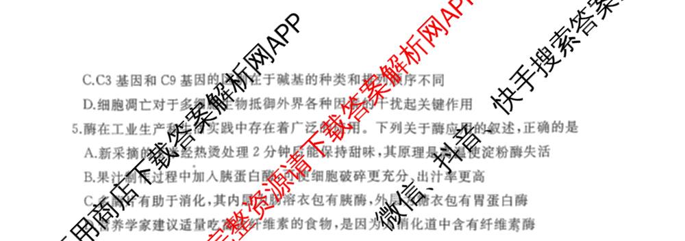 山东省枣庄市滕州市2026届高三定时训练（含数学、历史、化学等）生物试题