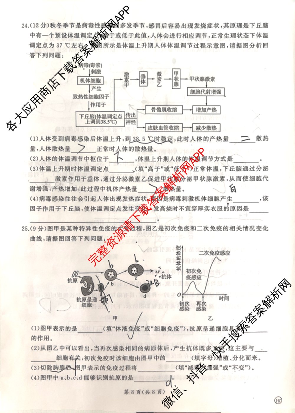 百师联盟2025-2026学年高二11月联考: 含生物(HC)、化学、化学(HC)试卷解析生物试题