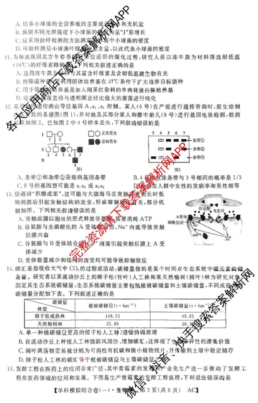 2025新高考单科模拟综合卷(三)3试卷及答案汇总（含历史(湖南) 物理(河北) 生物(河北)等36份）生物试题