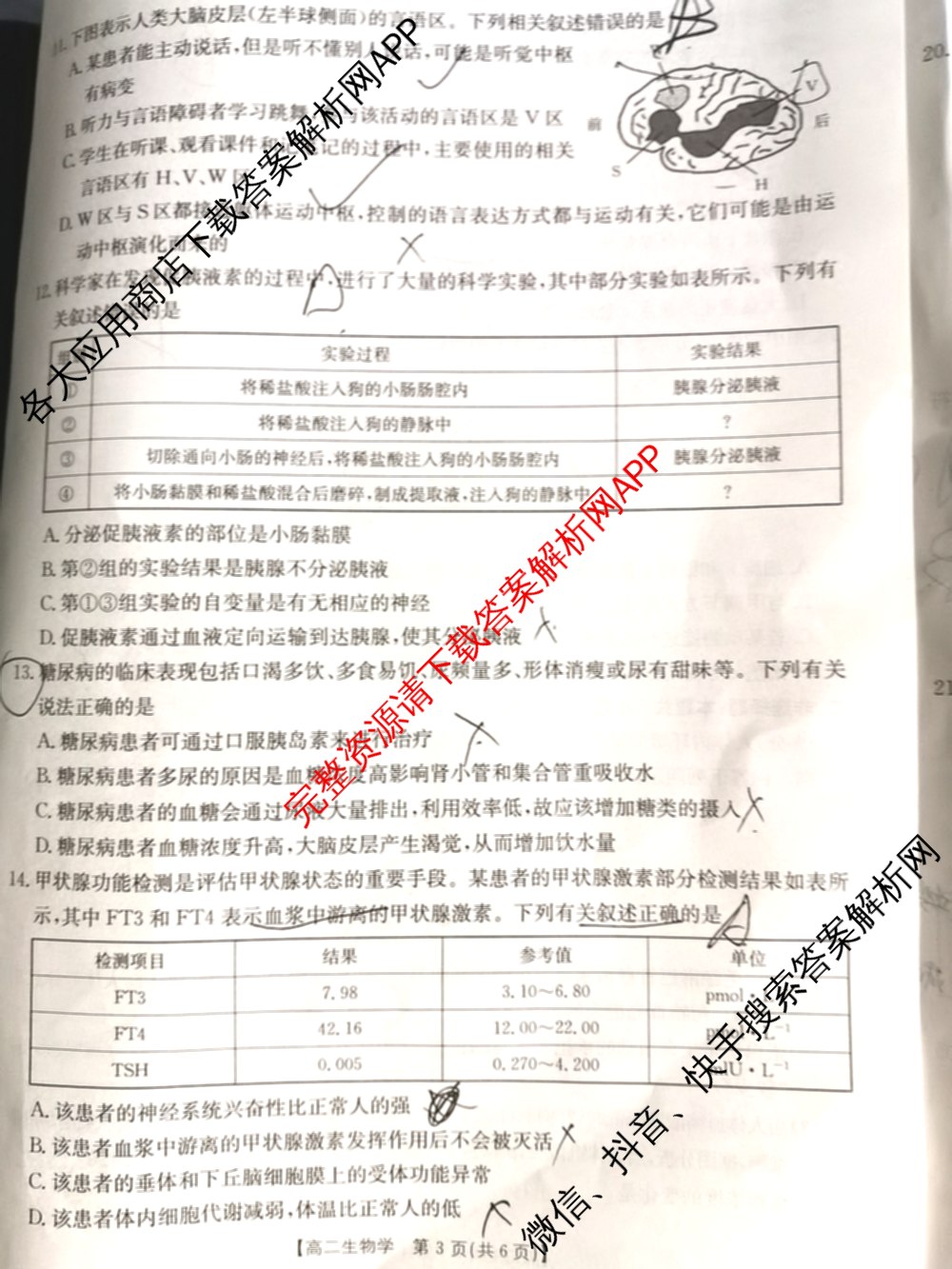 陕西省2024-2025高二10月联考(10.8)试卷及答案汇总: 含生物、数学、地理试卷解析生物试题