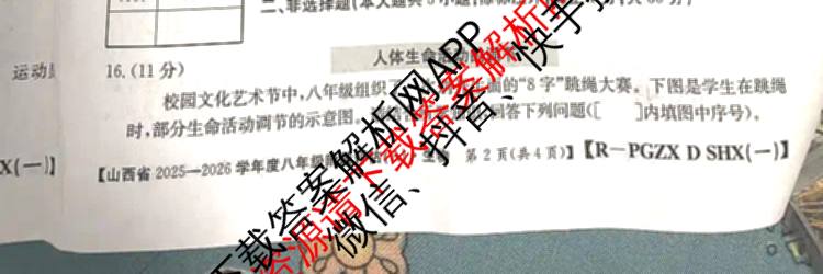 山西省2025-2026学年度八年级阶段评估(A)[PGZX D SHX(一)]（14科全）生物试题