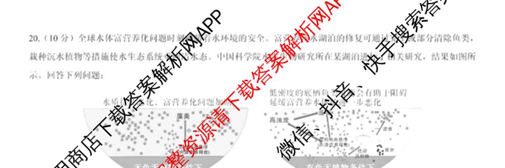 名校教研联盟2026届高考仿真模拟卷(样卷)试卷及答案汇总(11科全)生物试题 名校教研联盟2026届高考仿真模拟卷(样卷)试卷及答案汇总(11科全)生物试题