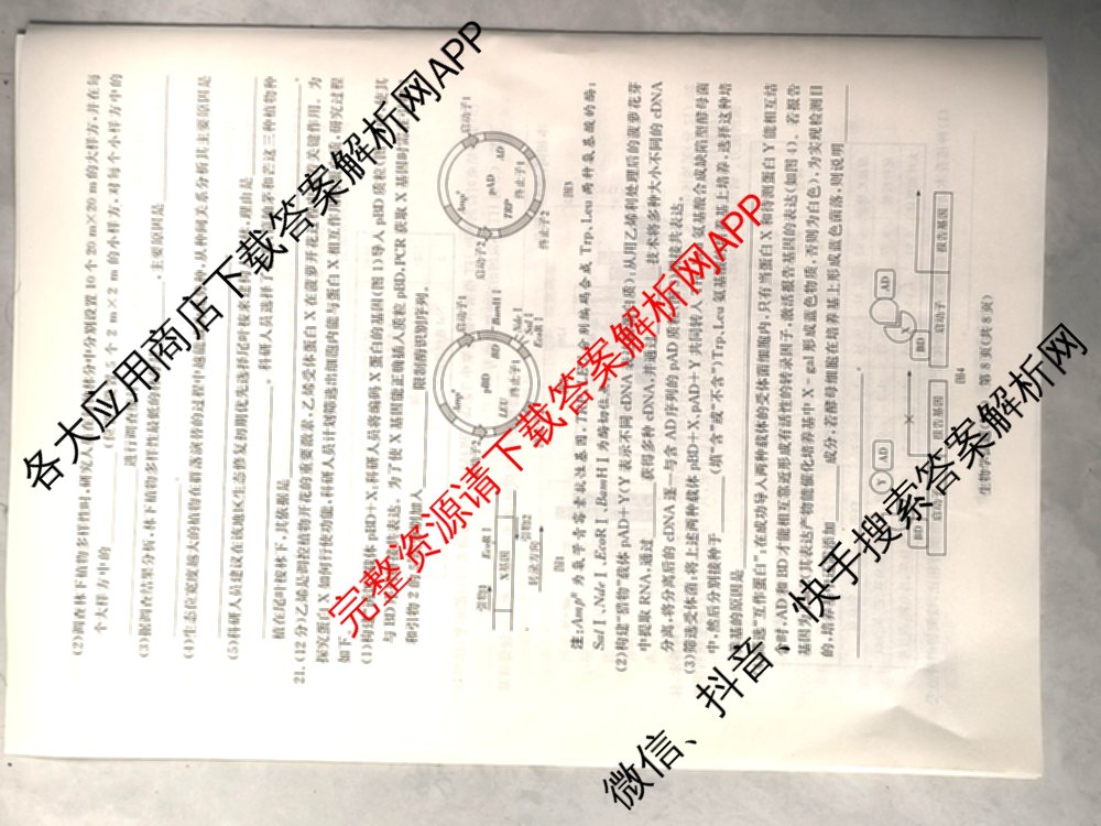 炎德英才大联考雅礼中学2026届高三月考试卷(H7)试卷及答案汇总（含数学 物理 生物等9份）生物试题