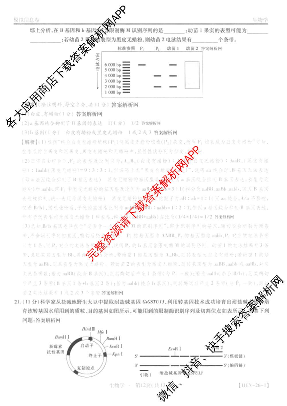 2026届智慧上进名校学术联盟高考模拟信息卷&冲刺卷&预测卷(一)1试卷及答案汇总(已更新地理(II-26-1) 物理(HN) 英语(I B-26-1)等49份)生物答案