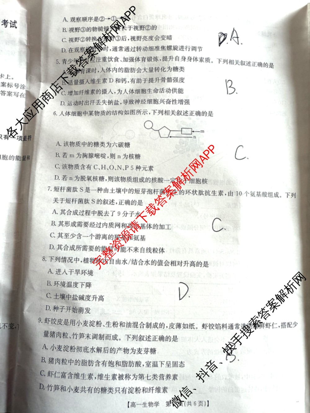 2025-2026学年三晋联盟山西名校高一12月联合考试（含英语、历史、物理等）生物试题