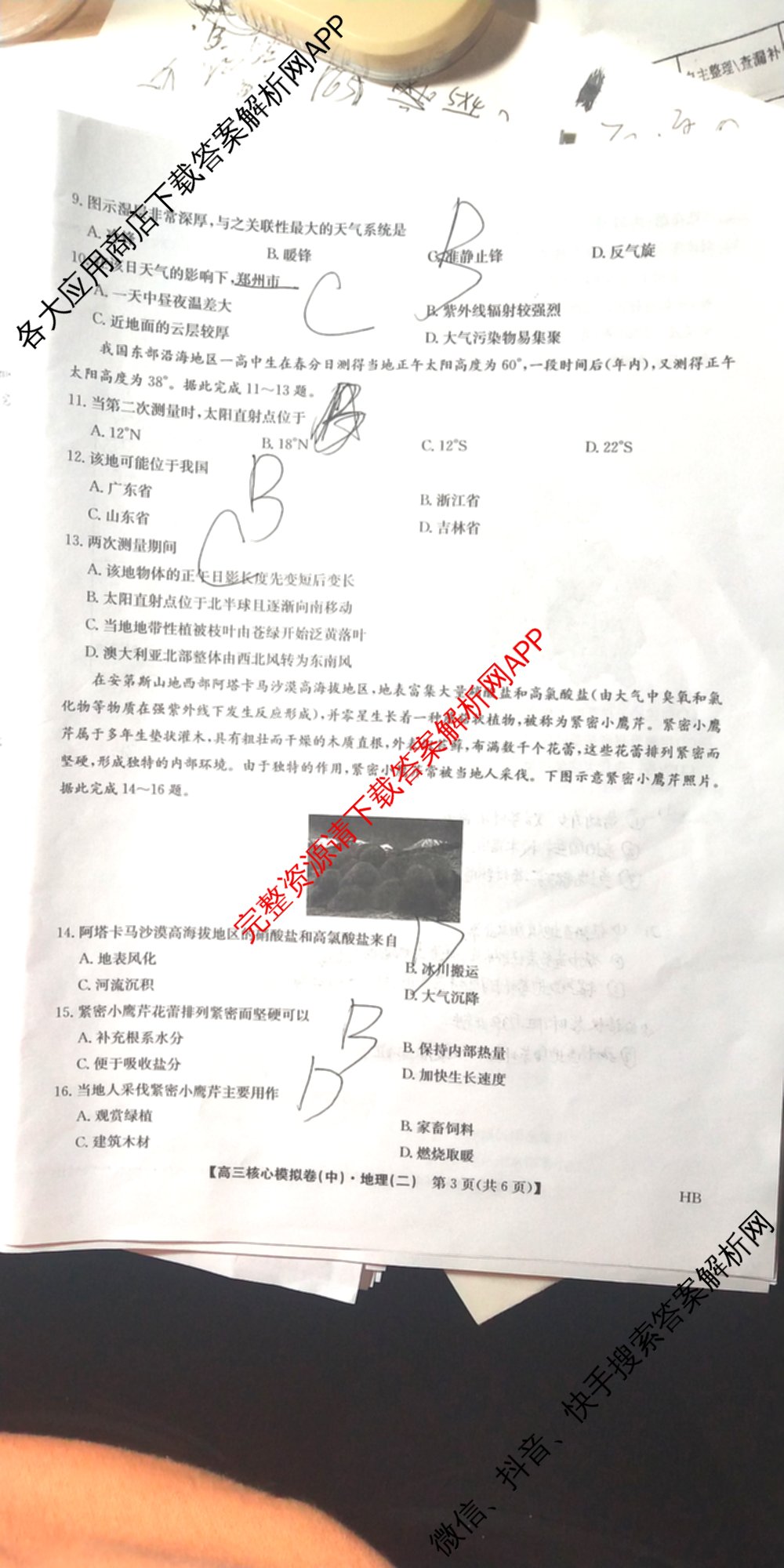 九师联盟2024~2025学年高三核心模拟卷(中)(二)2各科答案及试卷: 含政治(JX) 生物(D1) 生物(HB)试卷解析地理试题