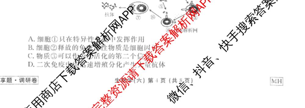 衡水金卷先享题调研卷2026年普通高等学校招生全国统一考试模拟试题(六)6（含地理(HN) 物理(HU) 物理(JS)等）生物试题