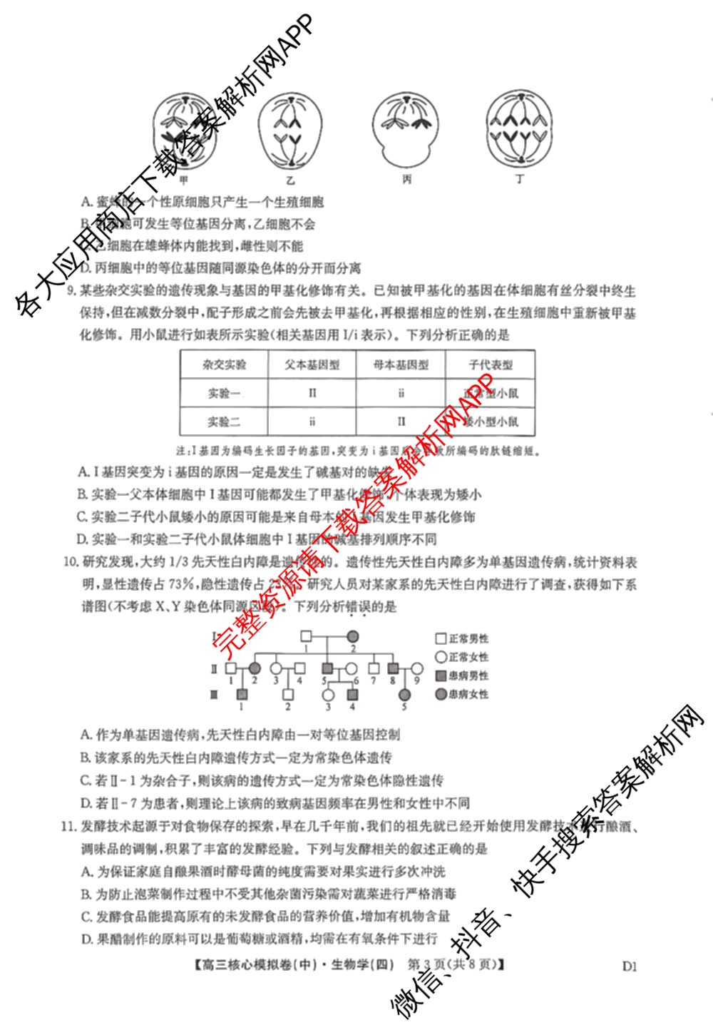 九师联盟2025~2026学年高三核心模拟卷(中)(四)（含政治(D4) 物理(HF) 语文等）生物试题