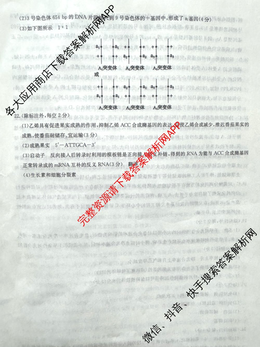 2025新高考单科模拟综合卷(三)3试卷及答案汇总（含历史(湖南) 物理(河北) 生物(河北)等36份）生物答案