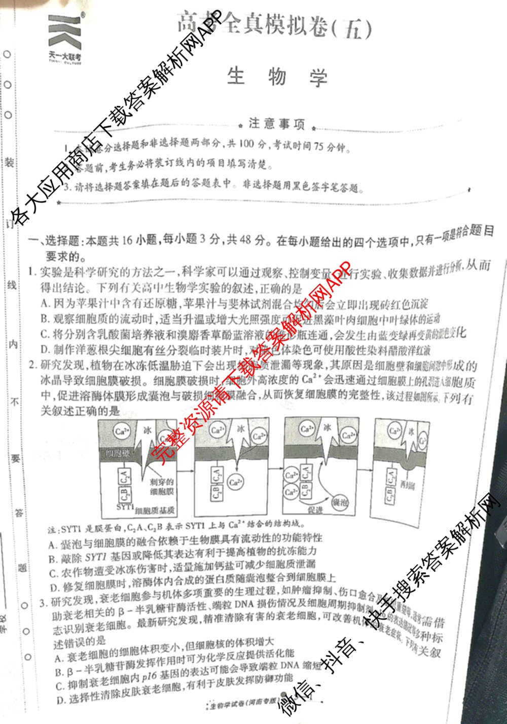 天一大联考2025届高考全真模拟卷(五)各科答案及试卷(已更新政治(河南专版)、生物(安徽专版)、英语(新高考)等37份)生物试题
